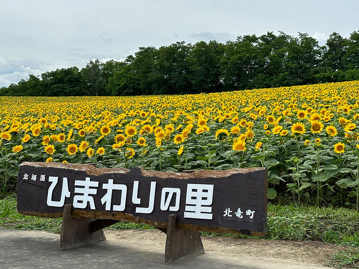 施設の紹介